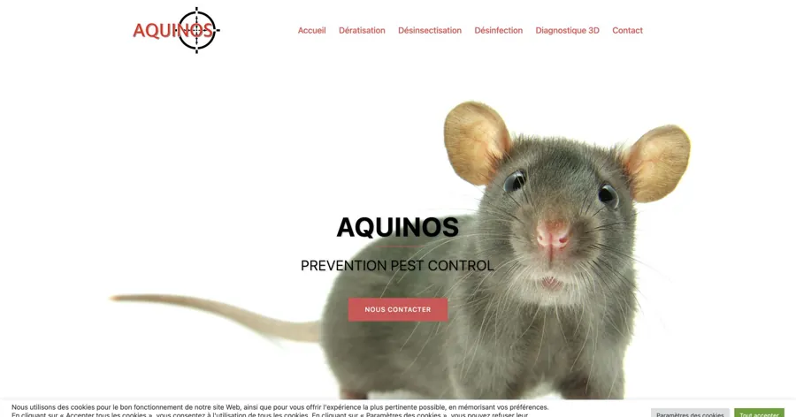 Aperçu du site officiel de Aquinos