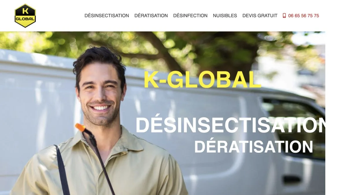 Aperçu du site officiel de K Global