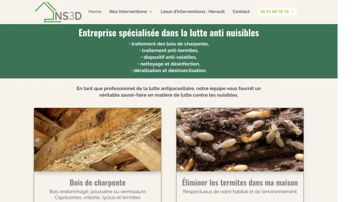 Aperçu du site officiel de NS3D